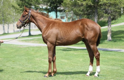 クラックショット